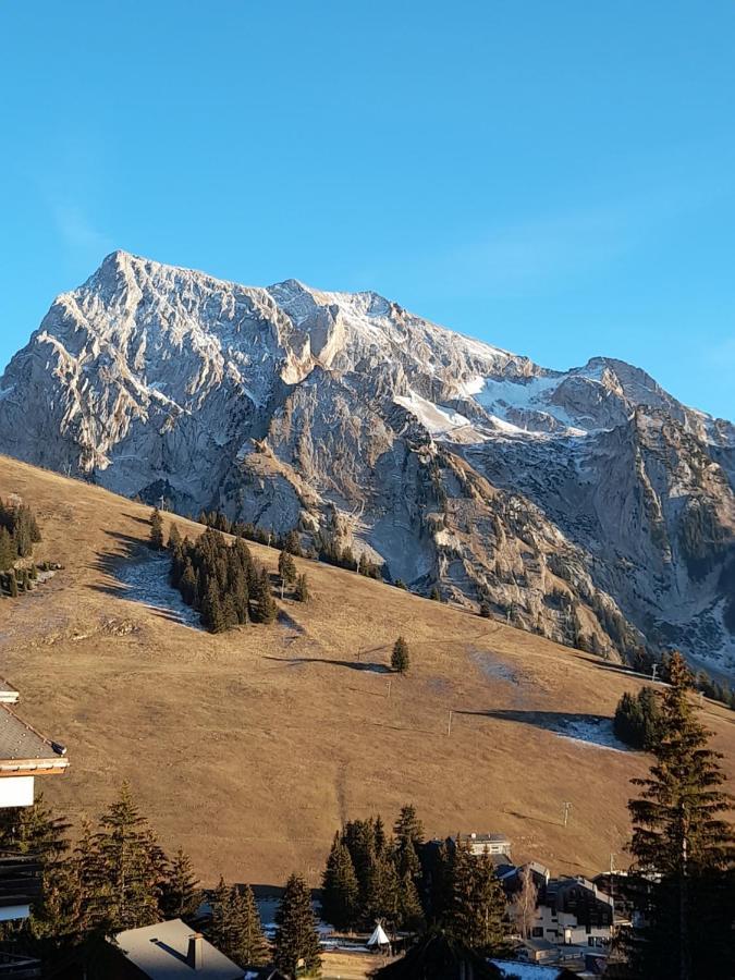 Appartement Au Coeur Des Aravis Manigod Bagian luar foto
