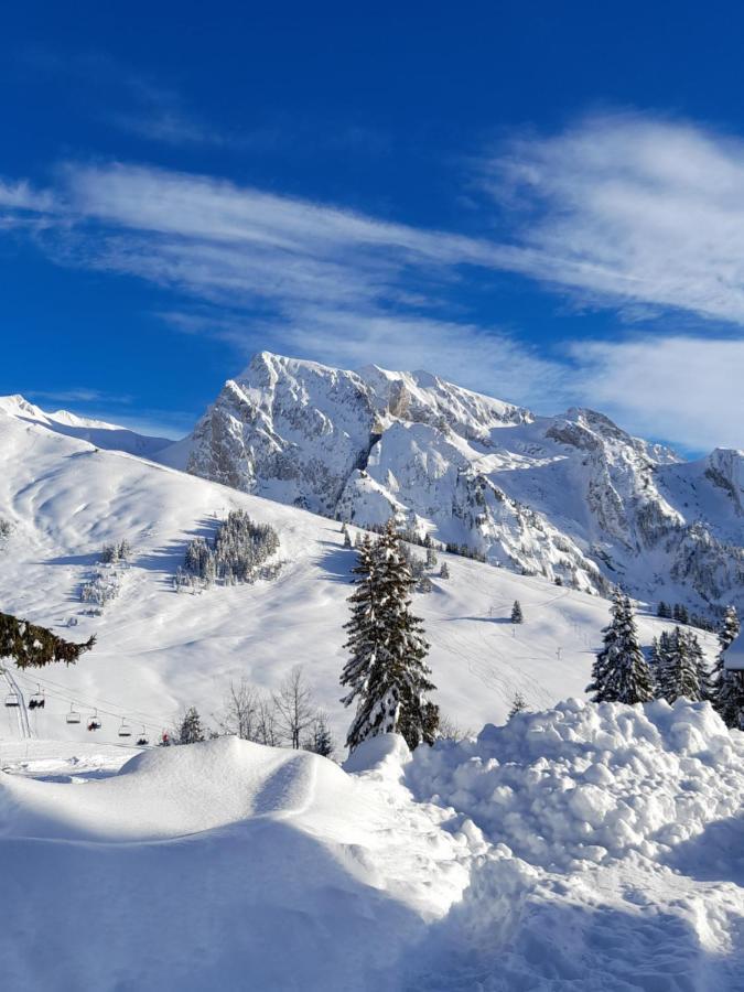 Appartement Au Coeur Des Aravis Manigod Bagian luar foto